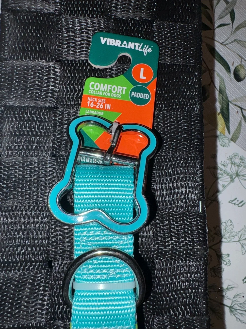 Vibrant Teal Padded Dog Collar with Bone-Shaped Buckle sz L